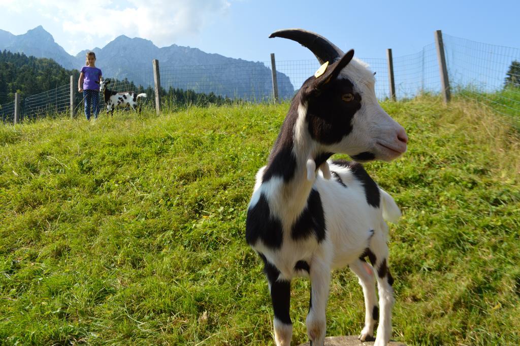 Landgasthof Ledererwirt Pensjonat Ebbs Zewnętrze zdjęcie