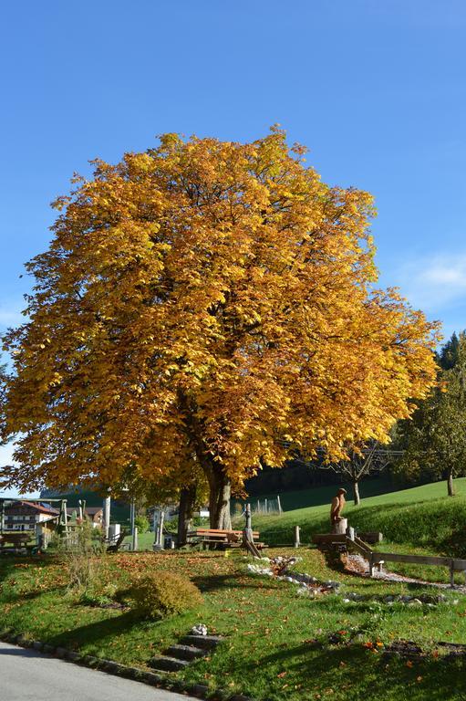 Landgasthof Ledererwirt Pensjonat Ebbs Zewnętrze zdjęcie