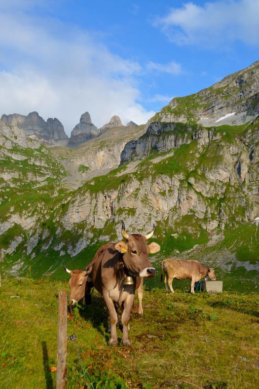 Landgasthof Ledererwirt Pensjonat Ebbs Zewnętrze zdjęcie